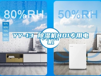 企業(yè)新聞YY-13 除濕機(jī)801專用電機(jī)