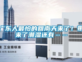 行業(yè)新聞廣東人最怕的回南天來了！帶來了潮濕還有……