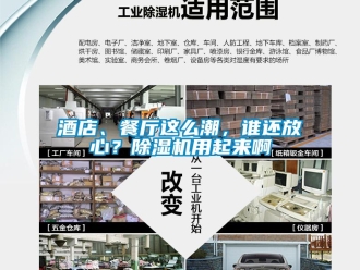 行業(yè)新聞酒店、餐廳這么潮，誰還放心？除濕機(jī)用起來啊