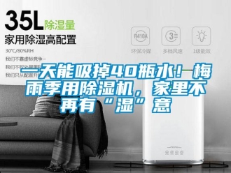 行業(yè)新聞一天能吸掉40瓶水！梅雨季用除濕機(jī)，家里不再有“濕”意