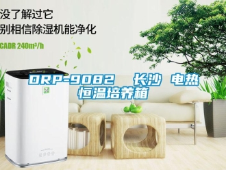 常見問(wèn)題DRP-9082  長(zhǎng)沙 電熱恒溫培養(yǎng)箱