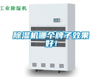 常見問題除濕機哪個牌子效果好！