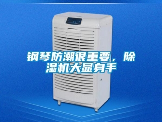企業(yè)新聞鋼琴防潮很重要，除濕機(jī)大顯身手