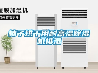 知識百科柿子烘干用耐高溫除濕機(jī)排濕