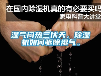 常見問題濕氣悶熱三伏天，除濕機如何驅(qū)除濕氣。