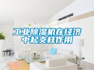 企業(yè)新聞工業(yè)除濕機在經濟中起支柱作用