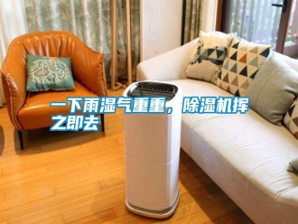 知識百科一下雨濕氣重重，除濕機揮之即去