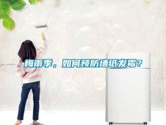 常見問題梅雨季，如何預(yù)防墻紙發(fā)霉？
