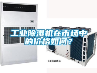 常見問題工業(yè)除濕機(jī)在市場中的價(jià)格如何？