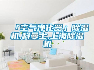 企業(yè)新聞「空氣凈化器」除濕機,科曼士,上海除濕機