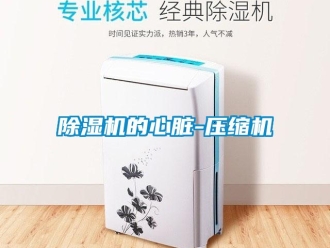 常見問題除濕機的心臟-壓縮機