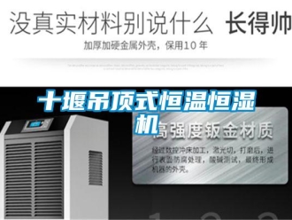 知識(shí)百科十堰吊頂式恒溫恒濕機(jī)