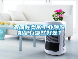 常見問題不同種類的工業(yè)除濕機都有哪些好處？