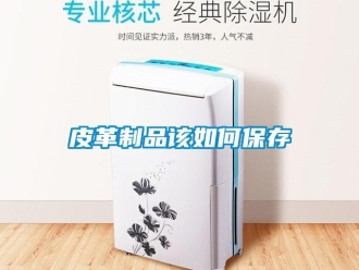 常見問(wèn)題皮革制品該如何保存