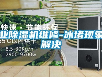 企業(yè)新聞工業(yè)除濕機維修-冰堵現(xiàn)象的解決