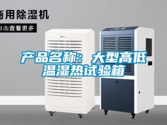 常見問題產(chǎn)品名稱：大型高低溫濕熱試驗(yàn)箱