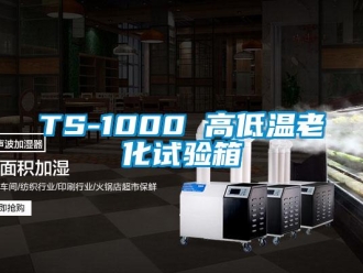 常見問題TS-1000 高低溫老化試驗(yàn)箱