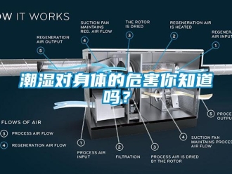 常見(jiàn)問(wèn)題潮濕對(duì)身體的危害你知道嗎？