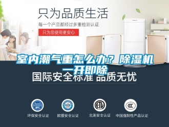常見問題室內(nèi)潮氣重怎么辦？除濕機(jī)一開即除
