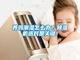 常見問題養(yǎng)雞潮濕怎么辦？除濕機選對是關(guān)鍵！