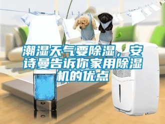 企業(yè)新聞潮濕天氣要除濕，安詩曼告訴你家用除濕機(jī)的優(yōu)點