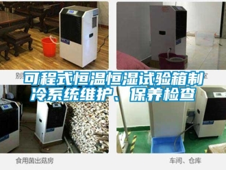 知識(shí)百科可程式恒溫恒濕試驗(yàn)箱制冷系統(tǒng)維護(hù)、保養(yǎng)檢查