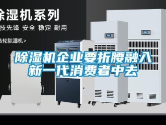 常見問題除濕機(jī)企業(yè)要折腰融入新一代消費(fèi)者中去