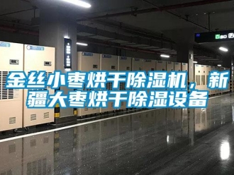 行業(yè)新聞金絲小棗烘干除濕機(jī)，新疆大棗烘干除濕設(shè)備