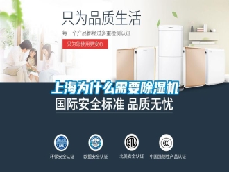 知識百科上海為什么需要除濕機