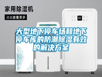企業(yè)新聞大型地下停車(chē)場(chǎng)和地下停車(chē)庫(kù)的防潮除濕有效的解決方案