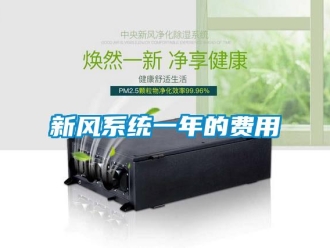 知識百科新風(fēng)系統(tǒng)一年的費用