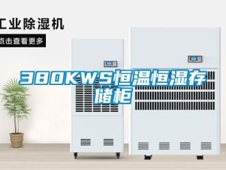 常見問題380KWS恒溫恒濕存儲(chǔ)柜