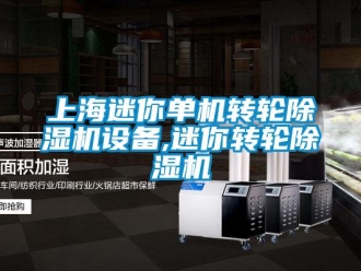 常見問(wèn)題上海迷你單機(jī)轉(zhuǎn)輪除濕機(jī)設(shè)備,迷你轉(zhuǎn)輪除濕機(jī)