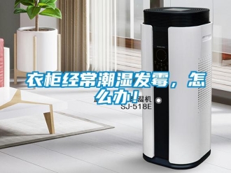 常見問題衣柜經(jīng)常潮濕發(fā)霉，怎么辦！