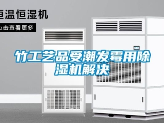 知識百科竹工藝品受潮發(fā)霉用除濕機(jī)解決