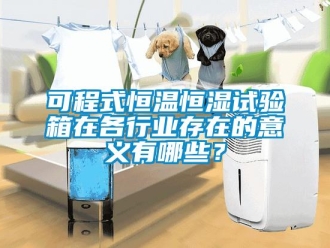 知識(shí)百科可程式恒溫恒濕試驗(yàn)箱在各行業(yè)存在的意義有哪些？