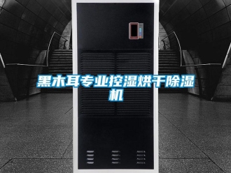 行業(yè)新聞黑木耳專業(yè)控濕烘干除濕機(jī)