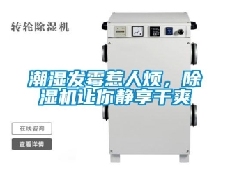 企業(yè)新聞潮濕發(fā)霉惹人煩，除濕機讓你靜享干爽