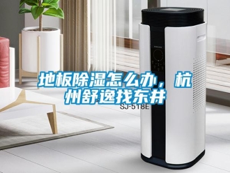 常見問題地板除濕怎么辦，杭州舒逸找東井