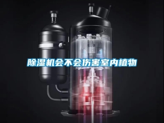 常見問題除濕機會不會傷害室內(nèi)植物