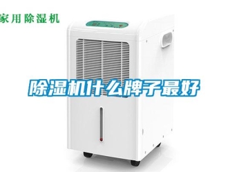 企業(yè)新聞除濕機什么牌子最好