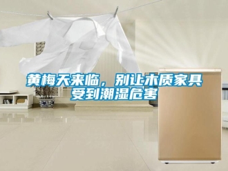 行業(yè)新聞黃梅天來臨，別讓木質(zhì)家具受到潮濕危害