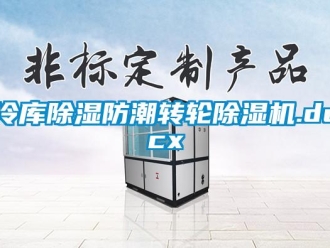 新聞資訊冷庫除濕防潮轉(zhuǎn)輪除濕機.docx