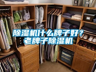 企業(yè)新聞除濕機什么牌子好？老牌子除濕機