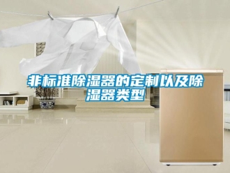 企業(yè)新聞非標(biāo)準(zhǔn)除濕器的定制以及除濕器類型