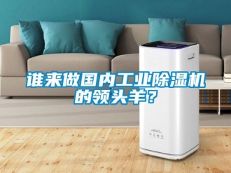 知識百科誰來做國內(nèi)工業(yè)除濕機的領(lǐng)頭羊？