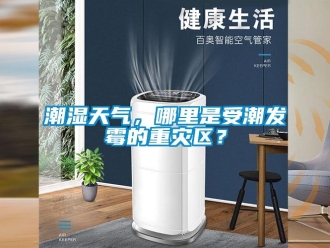 企業(yè)新聞潮濕天氣，哪里是受潮發(fā)霉的重災(zāi)區(qū)？