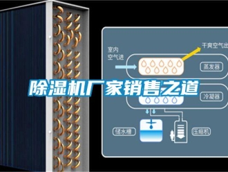 企業(yè)新聞除濕機(jī)廠家銷售之道