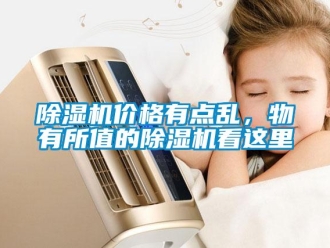 常見問題除濕機價格有點亂，物有所值的除濕機看這里