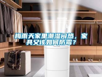 常見問題梅雨天家里潮濕悶熱，家具又該如何防霉？